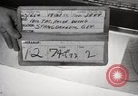 Immagine di Decimo ricognizione tattica ala Germania, 1955, secondo 12 filmato di repertorio 65675031821