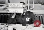 Immagine di Decimo ricognizione tattica ala Germania, 1955, secondo 25 filmato di repertorio 65675031825
