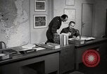 Immagine di Decimo ricognizione tattica ala Germania, 1955, secondo 56 filmato di repertorio 65675031826