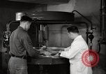 Immagine di Decimo ricognizione tattica ala Germania, 1955, secondo 57 filmato di repertorio 65675031828