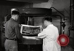 Immagine di Decimo ricognizione tattica ala Germania, 1955, secondo 59 filmato di repertorio 65675031828