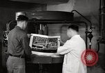 Immagine di Decimo ricognizione tattica ala Germania, 1955, secondo 60 filmato di repertorio 65675031828