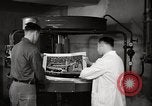 Immagine di Decimo ricognizione tattica ala Germania, 1955, secondo 61 filmato di repertorio 65675031828