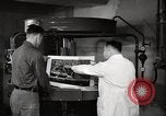 Immagine di Decimo ricognizione tattica ala Germania, 1955, secondo 62 filmato di repertorio 65675031828