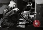 Immagine di Decimo ricognizione tattica ala Germania, 1955, secondo 44 filmato di repertorio 65675031831