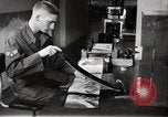 Immagine di Decimo ricognizione tattica ala Germania, 1955, secondo 51 filmato di repertorio 65675031831