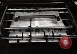 Immagine di Decimo ricognizione tattica ala Germania, 1955, secondo 47 filmato di repertorio 65675031833