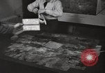 Image of 10th Tactical Reconnaissance Wing Germany, 1955, second 23 stock footage video 65675031835