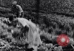 Standbild Ford River Rouge Komplexe Dearborn Michigan USA, 1941, aus Sekunde 1 historischem Filmmaterial Videoclip 65675031859