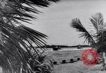Standbild Moskito Boot Logo Florida United States USA, 1941, aus Sekunde 9 historischem Filmmaterial Videoclip 65675031867