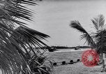 Standbild Moskito Boot Logo Florida United States USA, 1941, aus Sekunde 10 historischem Filmmaterial Videoclip 65675031867