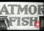 Image of Restaurants in Miami  Miami Florida USA, 1936, second 12 stock footage video 65675031876