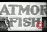 Image of Restaurants in Miami  Miami Florida USA, 1936, second 13 stock footage video 65675031876