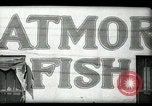 Image of Restaurants in Miami  Miami Florida USA, 1936, second 14 stock footage video 65675031876