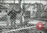 Image of zoo yacht in Miami Miami Florida USA, 1936, second 28 stock footage video 65675031889