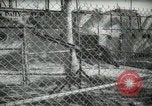 Image of zoo yacht in Miami Miami Florida USA, 1936, second 32 stock footage video 65675031889