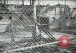 Image of zoo yacht in Miami Miami Florida USA, 1936, second 38 stock footage video 65675031889