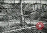 Image of zoo yacht in Miami Miami Florida USA, 1936, second 40 stock footage video 65675031889