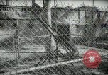 Image of zoo yacht in Miami Miami Florida USA, 1936, second 44 stock footage video 65675031889