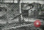 Image of zoo yacht in Miami Miami Florida USA, 1936, second 45 stock footage video 65675031889