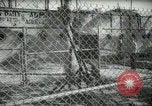 Image of zoo yacht in Miami Miami Florida USA, 1936, second 49 stock footage video 65675031889