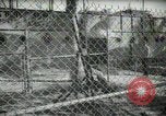 Image of zoo yacht in Miami Miami Florida USA, 1936, second 50 stock footage video 65675031889
