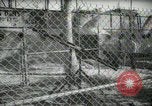 Image of zoo yacht in Miami Miami Florida USA, 1936, second 51 stock footage video 65675031889