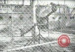 Image of zoo yacht in Miami Miami Florida USA, 1936, second 54 stock footage video 65675031889