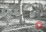Image of zoo yacht in Miami Miami Florida USA, 1936, second 55 stock footage video 65675031889