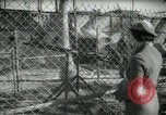 Image of zoo yacht in Miami Miami Florida USA, 1936, second 57 stock footage video 65675031889