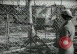 Image of zoo yacht in Miami Miami Florida USA, 1936, second 59 stock footage video 65675031889