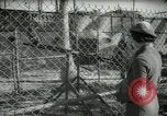 Image of zoo yacht in Miami Miami Florida USA, 1936, second 60 stock footage video 65675031889
