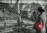 Image of zoo yacht in Miami Miami Florida USA, 1936, second 61 stock footage video 65675031889