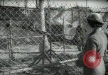 Image of zoo yacht in Miami Miami Florida USA, 1936, second 62 stock footage video 65675031889