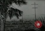 Image of Minsky's Million Dollar Pier Miami Beach Florida USA, 1936, second 29 stock footage video 65675031895