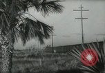 Image of Minsky's Million Dollar Pier Miami Beach Florida USA, 1936, second 43 stock footage video 65675031895