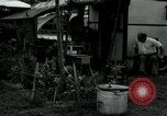 Image of trailer camp Miami Florida USA, 1936, second 38 stock footage video 65675031898