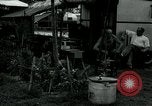 Image of trailer camp Miami Florida USA, 1936, second 43 stock footage video 65675031898