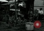 Image of trailer camp Miami Florida USA, 1936, second 44 stock footage video 65675031898