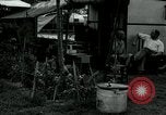 Image of trailer camp Miami Florida USA, 1936, second 45 stock footage video 65675031898