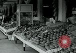 Image of tourists Miami Florida USA, 1936, second 38 stock footage video 65675031910