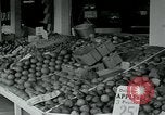 Image of tourists Miami Florida USA, 1936, second 40 stock footage video 65675031910