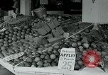 Image of tourists Miami Florida USA, 1936, second 41 stock footage video 65675031910