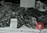 Image of tourists Miami Florida USA, 1936, second 42 stock footage video 65675031910