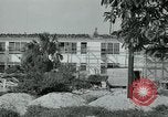 Image of Tourists Miami Florida USA, 1936, second 26 stock footage video 65675031912