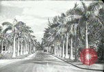 Image of car on a road Miami Florida USA, 1936, second 1 stock footage video 65675031913