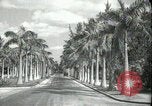 Image of car on a road Miami Florida USA, 1936, second 3 stock footage video 65675031913