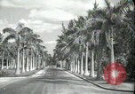Image of car on a road Miami Florida USA, 1936, second 4 stock footage video 65675031913
