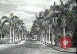 Image of car on a road Miami Florida USA, 1936, second 5 stock footage video 65675031913