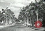 Image of car on a road Miami Florida USA, 1936, second 6 stock footage video 65675031913